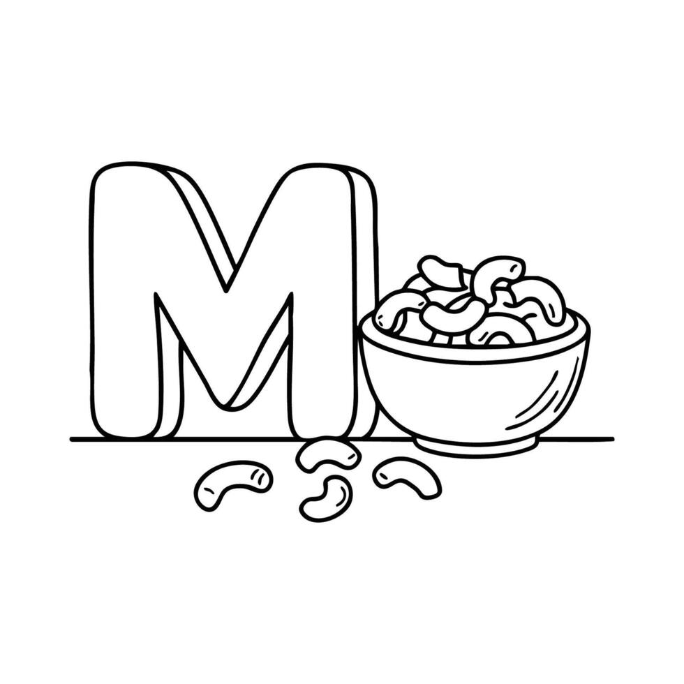 An Illustration of letter M stand for Macaroni vector