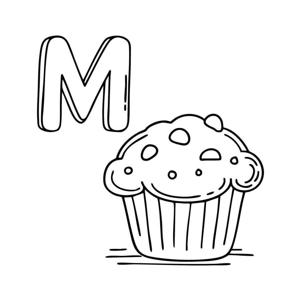 An Illustration of letter M stand for Muffin vector