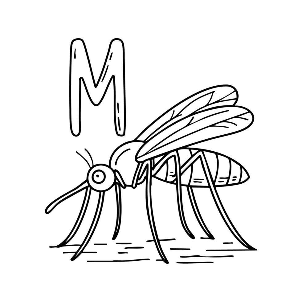 An Illustration of letter M stand for Mosquito vector