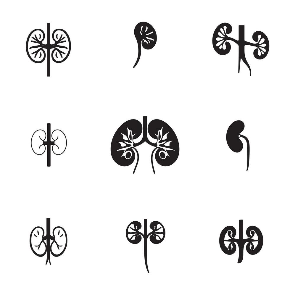 kidney icon set on white background vector