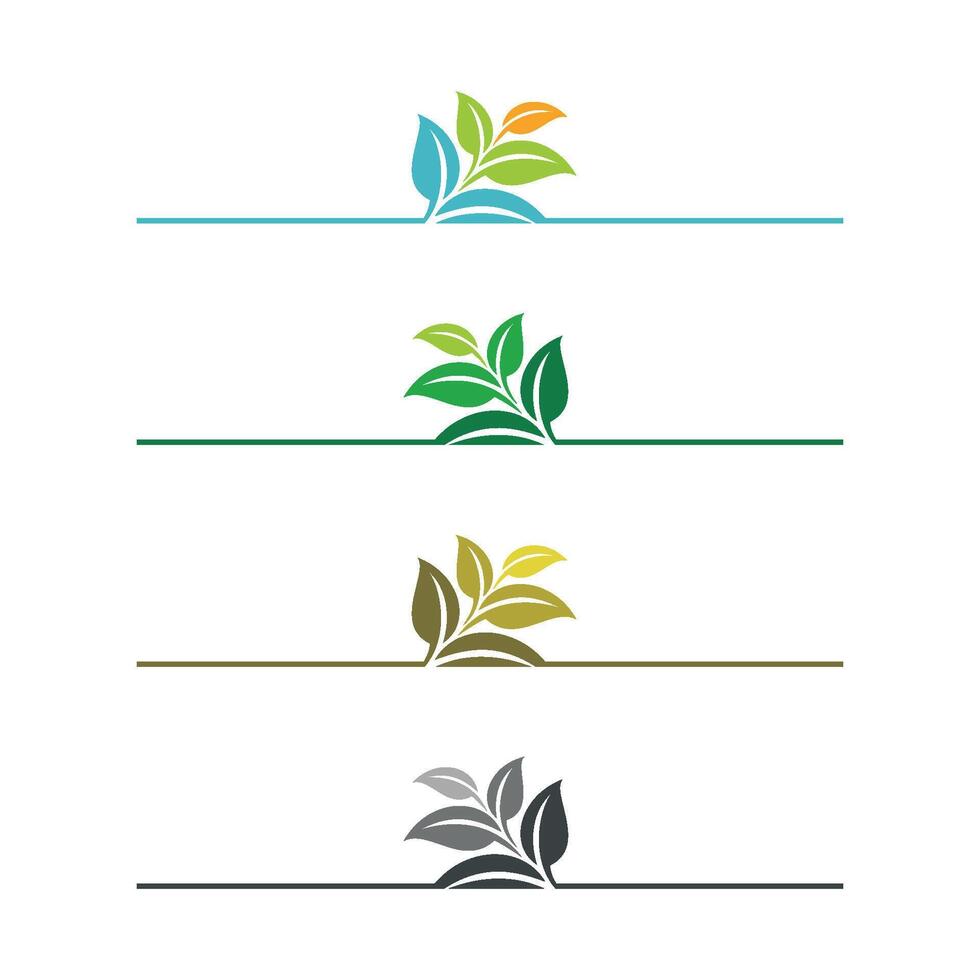 Set Colorful Floral Leaves Logo Template Illustration Design. EPS 10. vector