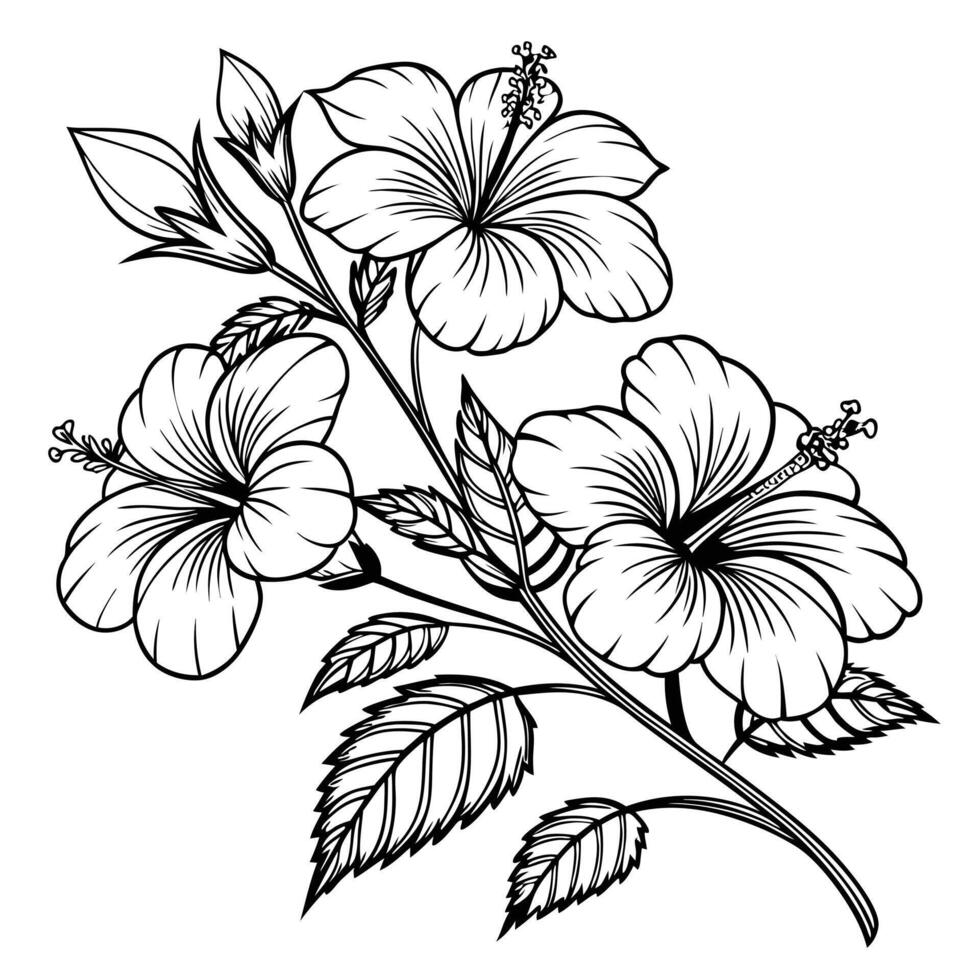 black line art illustration of a hibiscus flower and leaves. vector