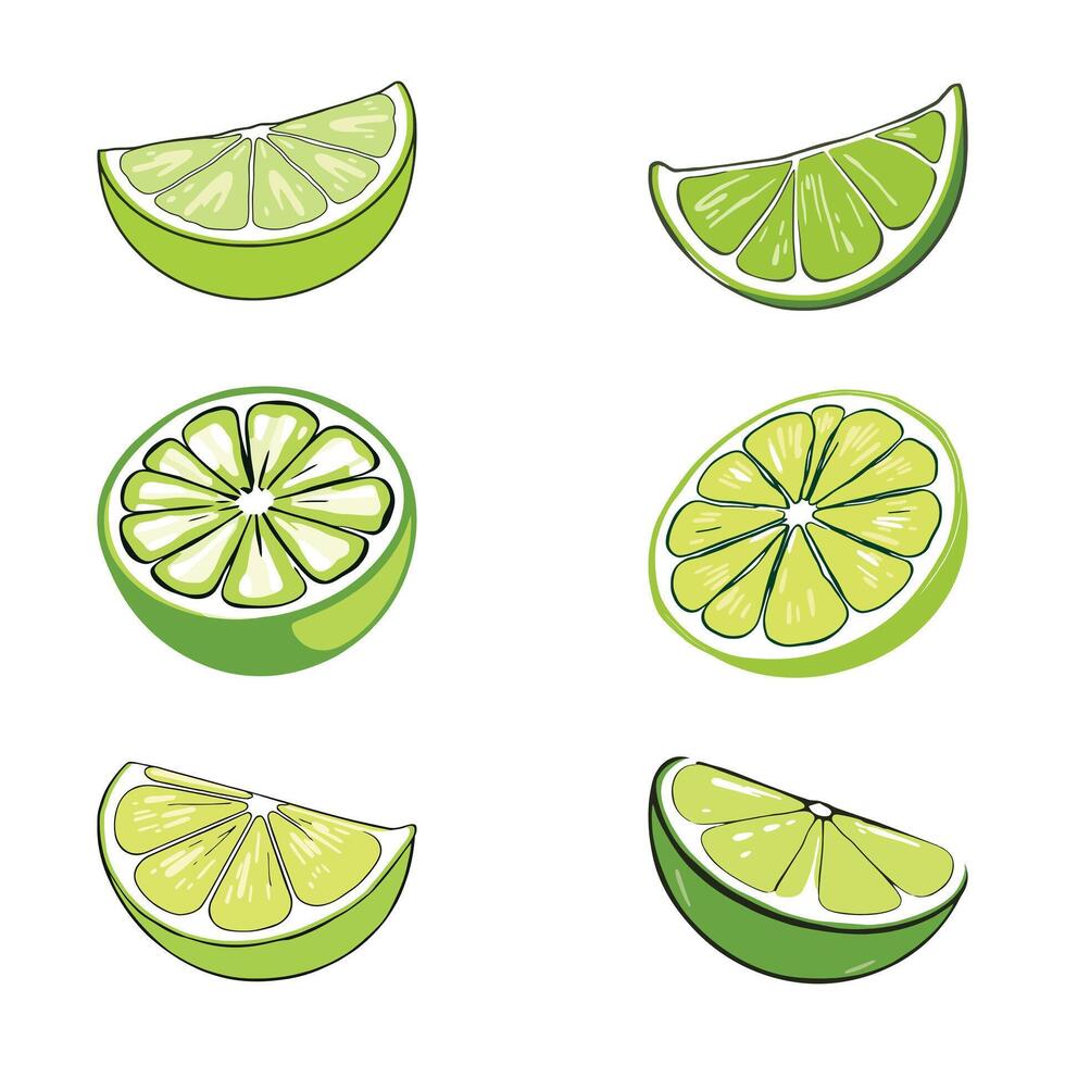 Citrus Fruit Halves Lime Segments Fresh Juice Ingredient Graphic Art vector