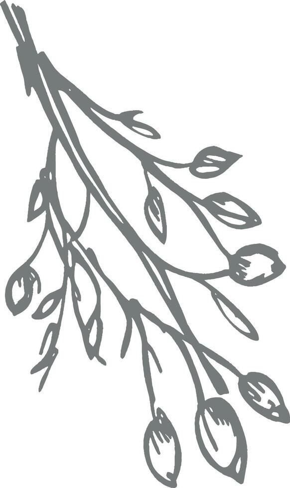 Hand drawn botanical branch illustration with delicate leaves and buds vintage monochrome engraving nature inspired floral sketch rustic aesthetic organic natural elements vector