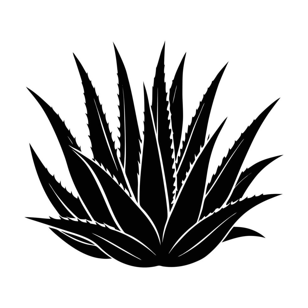 aloe Vera plant icon illustration vector