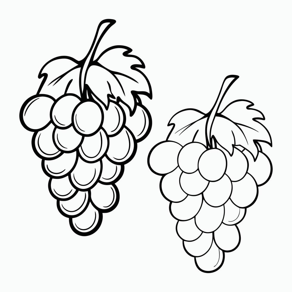 grapes coloring pages for kids vector