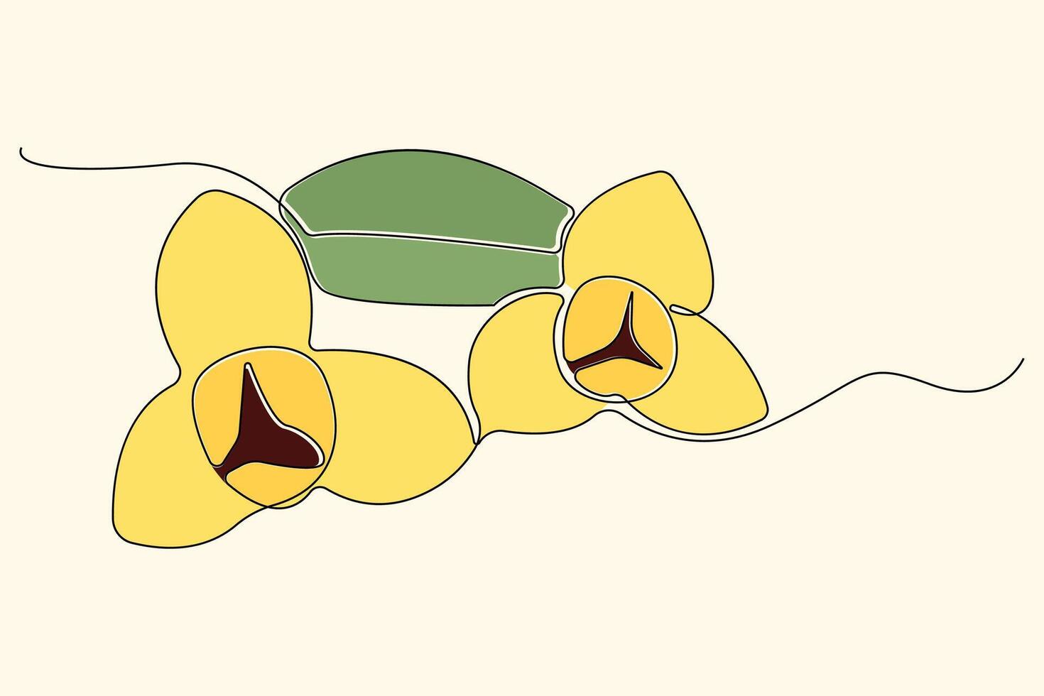 Hand-drawn Romduol flower line art drawing. Cambodia National Flower linear icon . vector