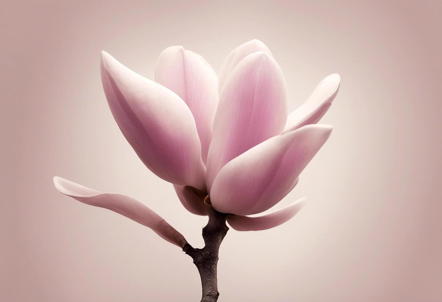 poster abstraktes magnolie minimalistische wandbild boho magnolie photo