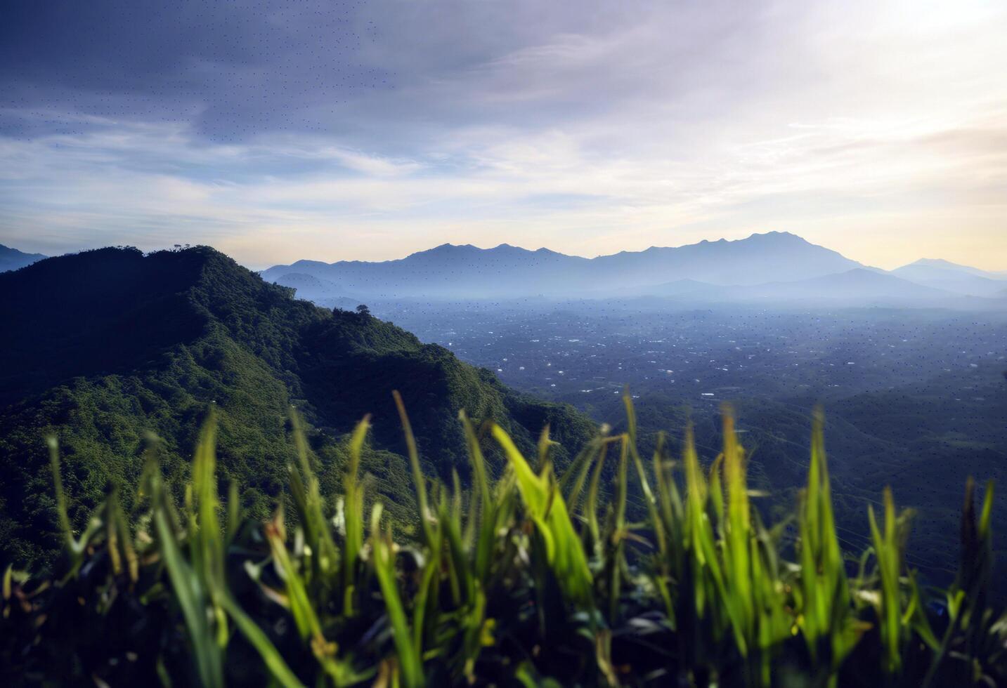 image chiang mai landscape suthep mountain Background Water Sky Beach Summer Travel Nature Tree Illustration Spring Grass Clouds Forest Cloud Sea Beauty Green Architecture Blue photo