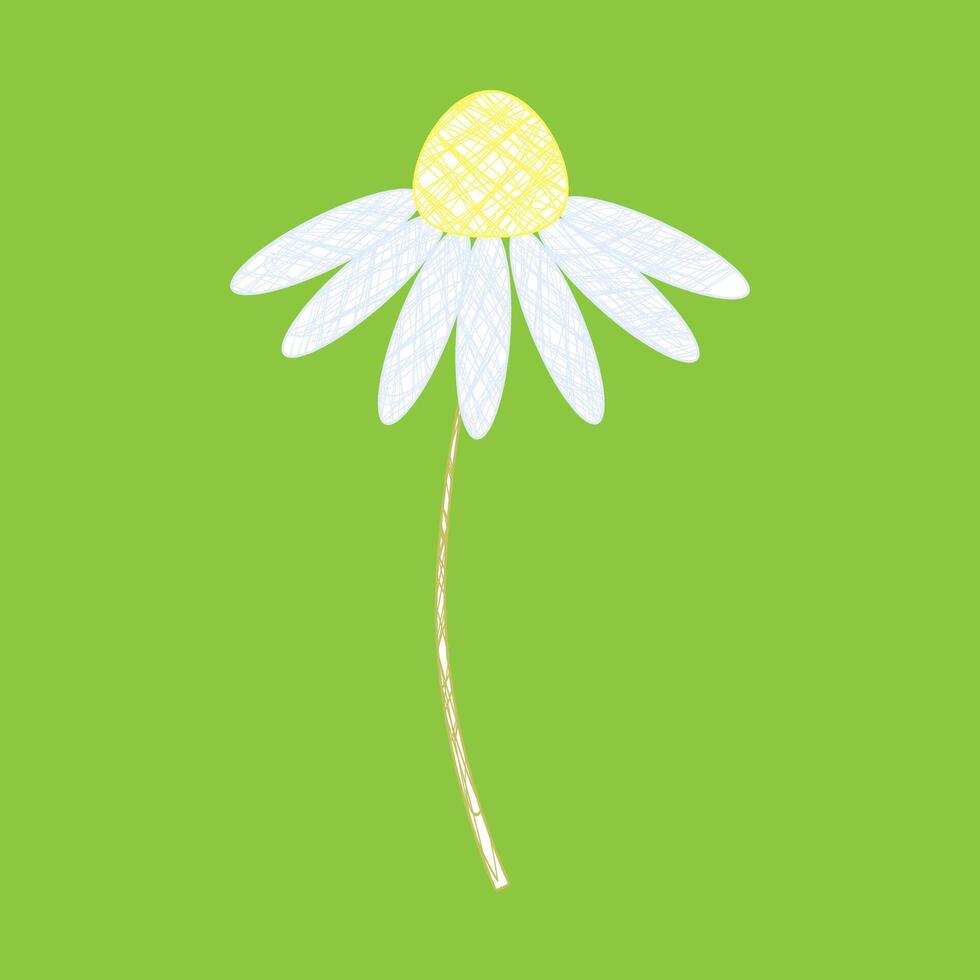 Chamomile in a hand-drawn children's style on a green background. vector