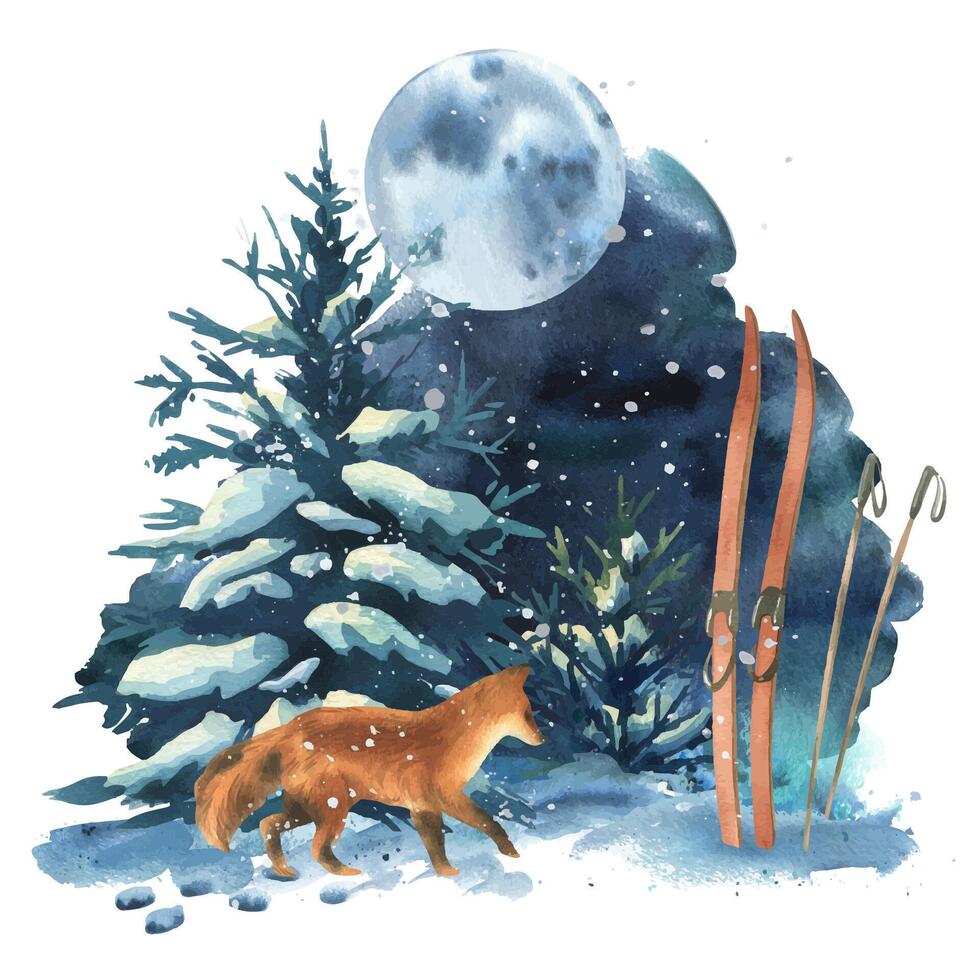 Winter landscape in the night forest with a fox, spruce trees, moon and snowdrifts, skis. Watercolor hand drawn illustration. Wildlife scene composition isolated from background vector