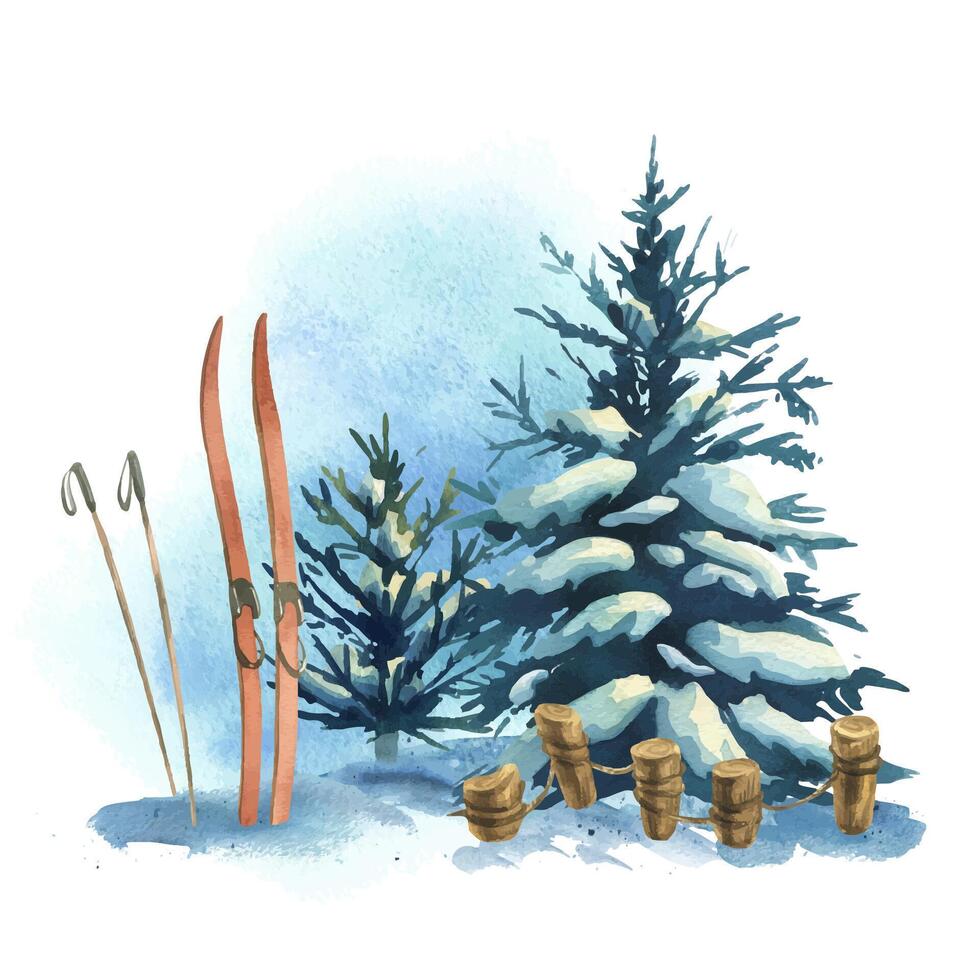 Winter landscape in the forest with skis, spruce trees with snow and snowdrifts, wooden fence. Watercolor hand drawn illustration. Composition simple scene of wild nature isolated from background vector