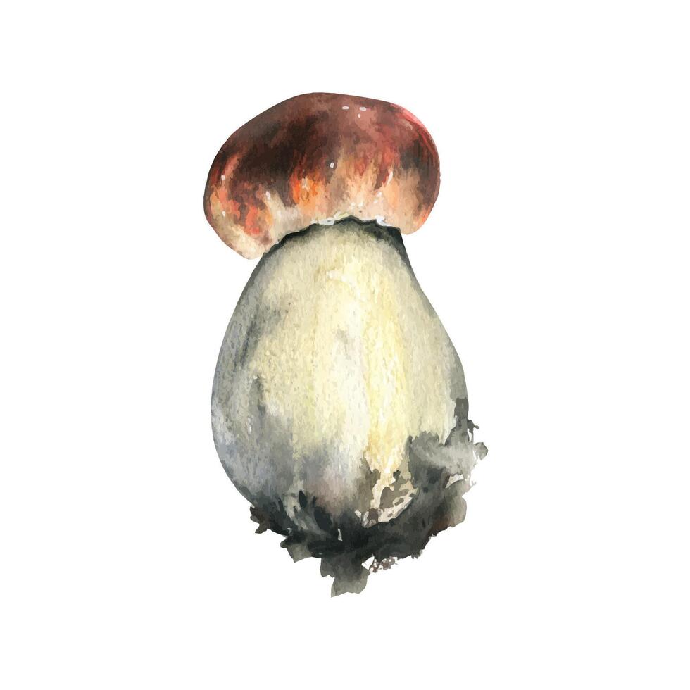 Forest edible mushroom boletus with an orange cap and moss on a stem. Watercolor illustration, hand drawn. For recipes, autumn festival, harvest. Isolated object vector