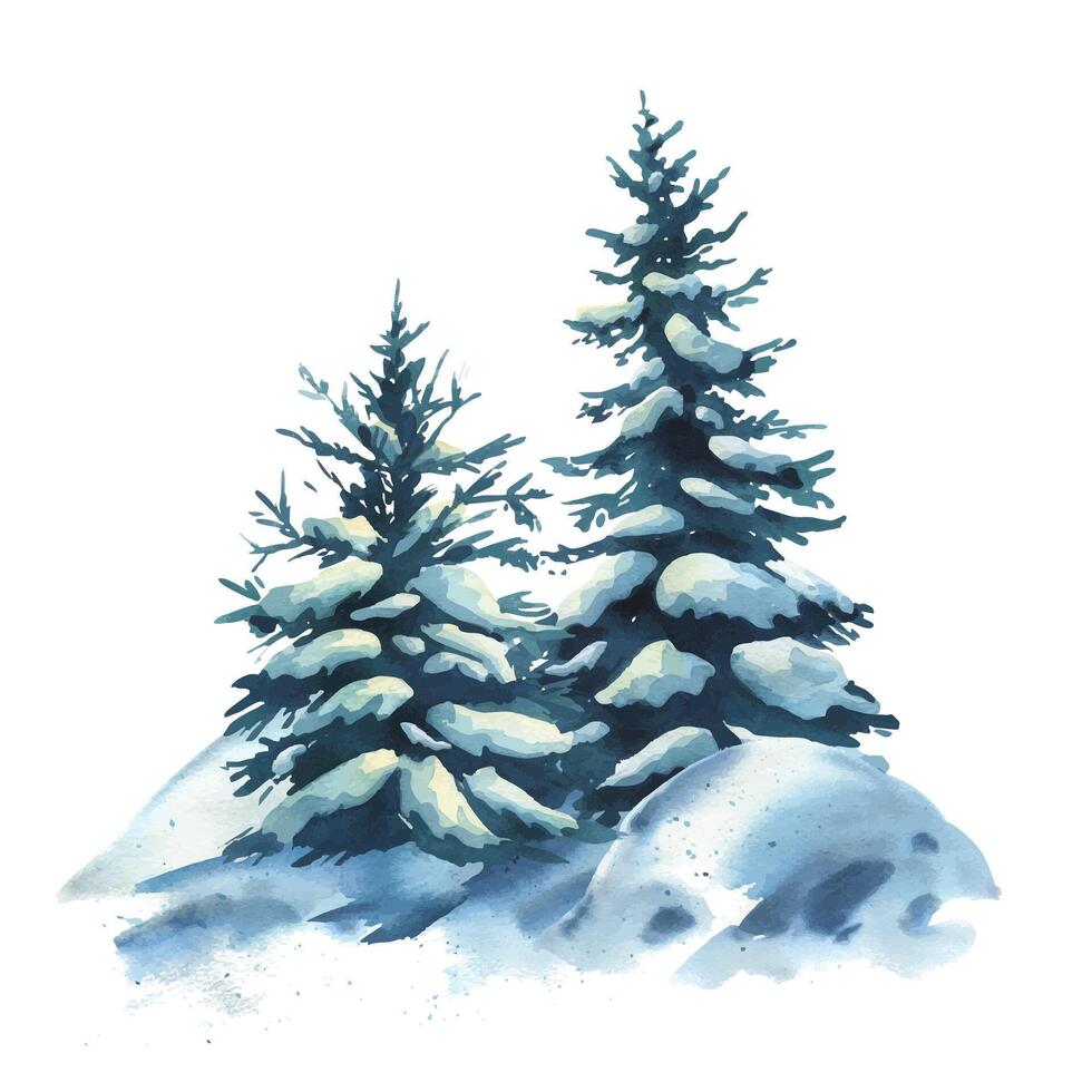 Winter landscape in the forest with two spruce trees with snow on the branches and snowdrifts around. Watercolor hand drawn illustration. Composition simple wildlife scene isolated from background vector