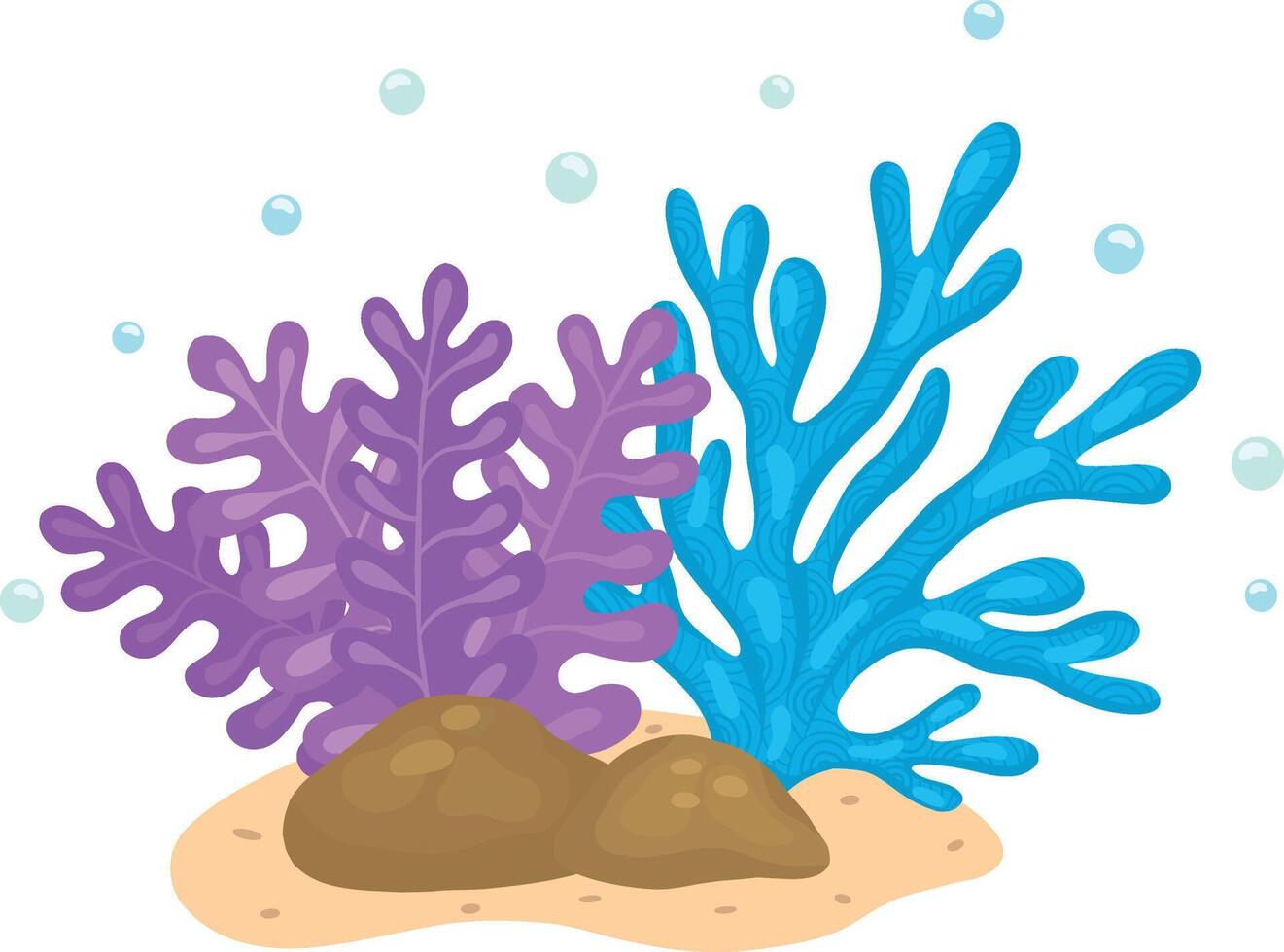 illustration of corals and algae. Drawings for design, banners, books, marine magazines and travel magazines. Stock illustration. vector