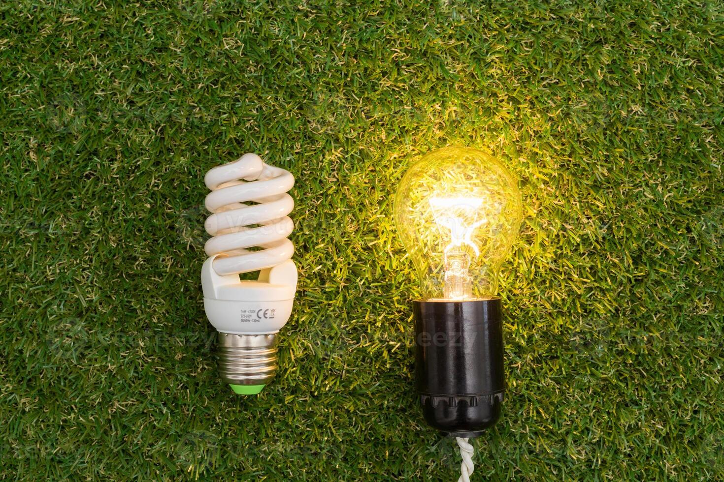 Light bulb in the grass. Saving energy concept photo