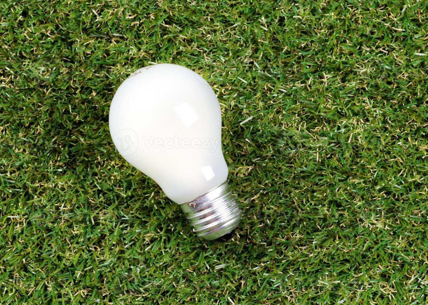 Light bulb in the grass. Saving energy concept photo