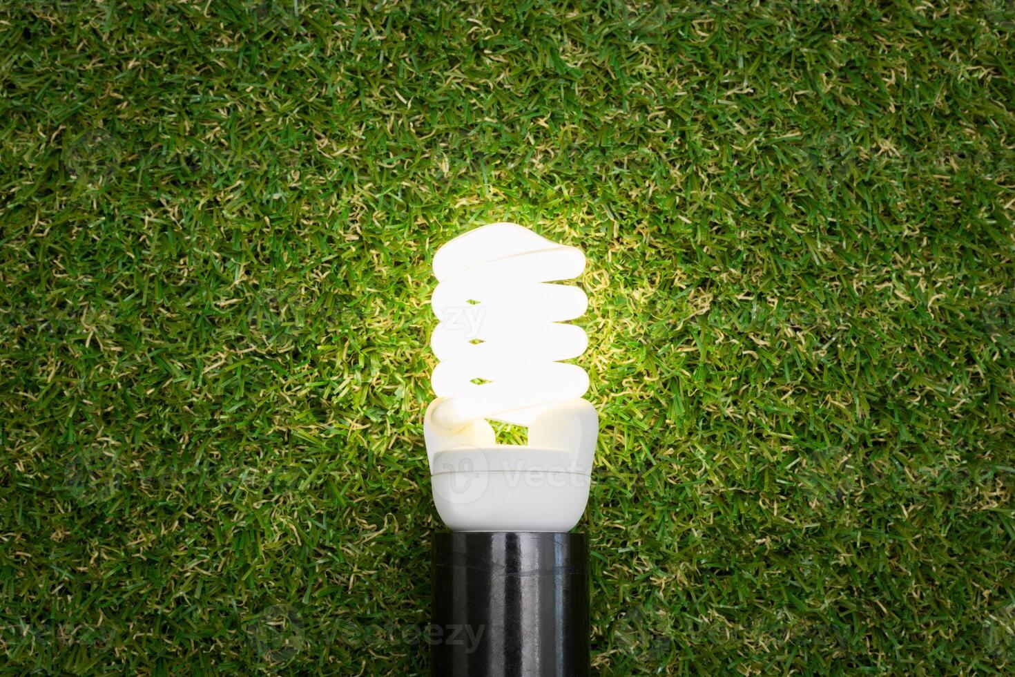 Light bulb in the grass. Saving energy concept photo
