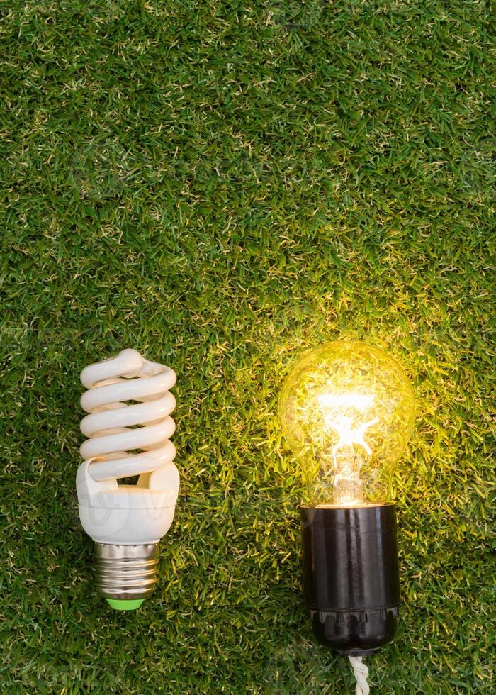 Light bulb in the grass. Saving energy concept photo