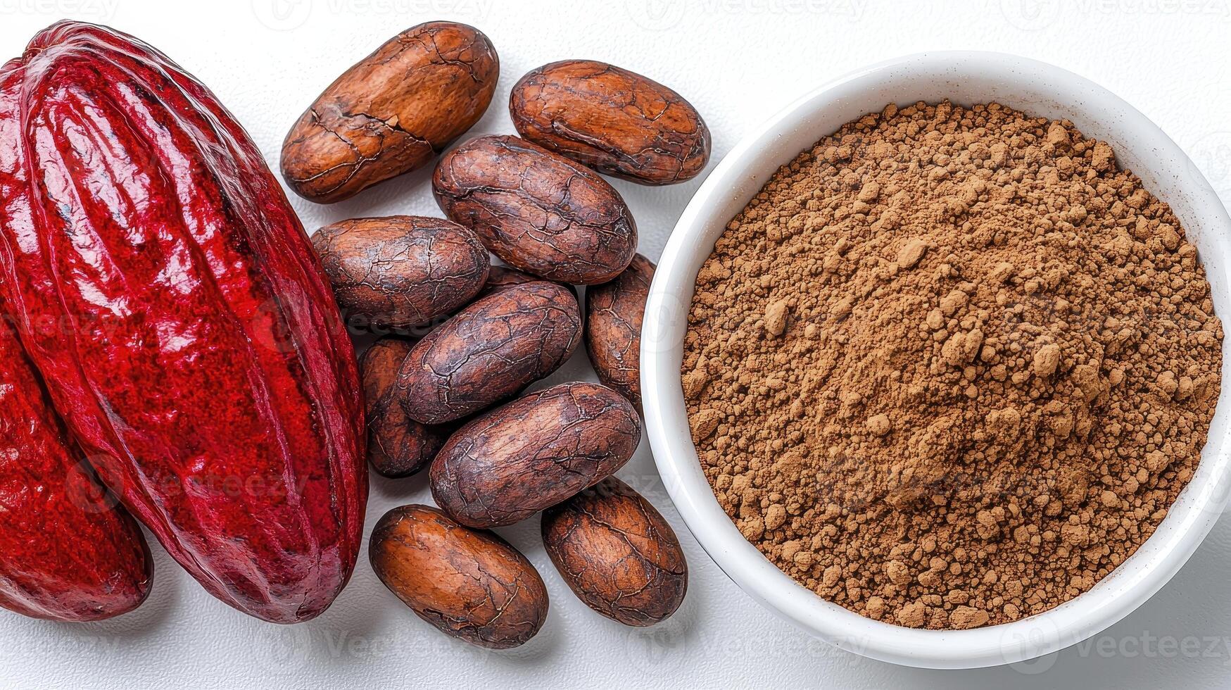Cocoa powder and cocoa beans are shown next to each other photo