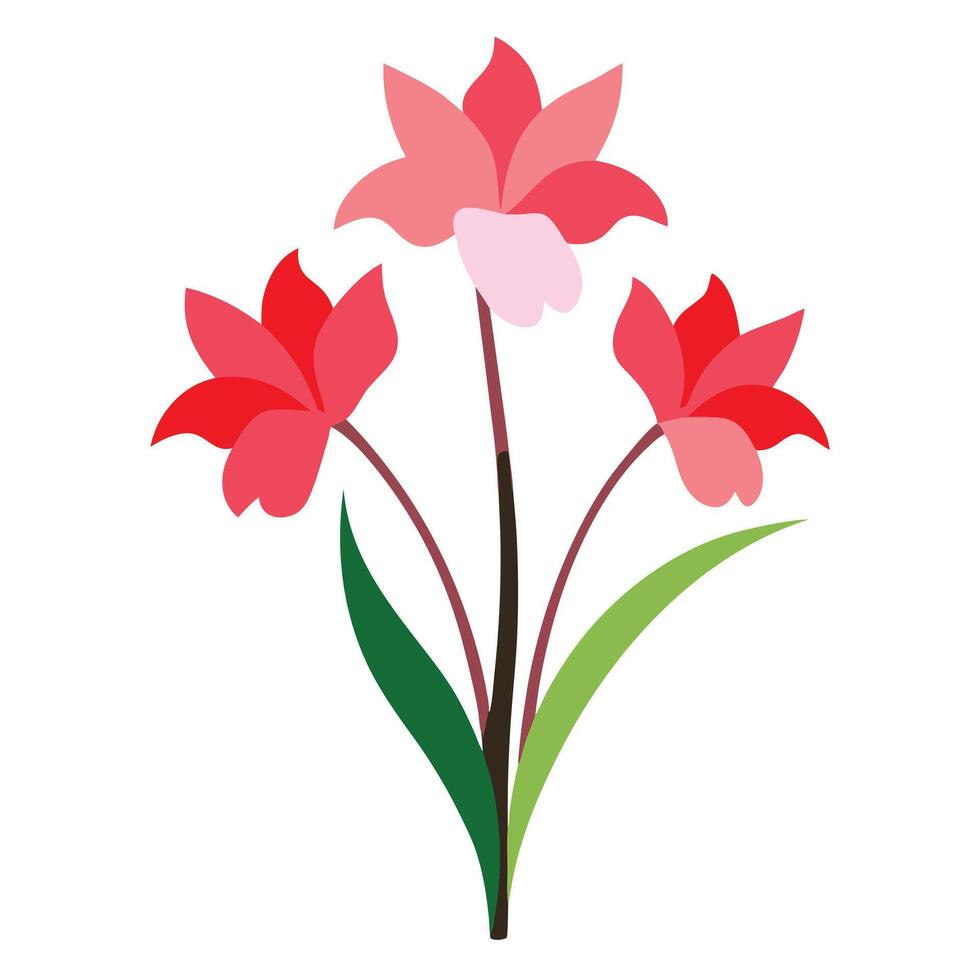 a flower with red petals on a white background vector
