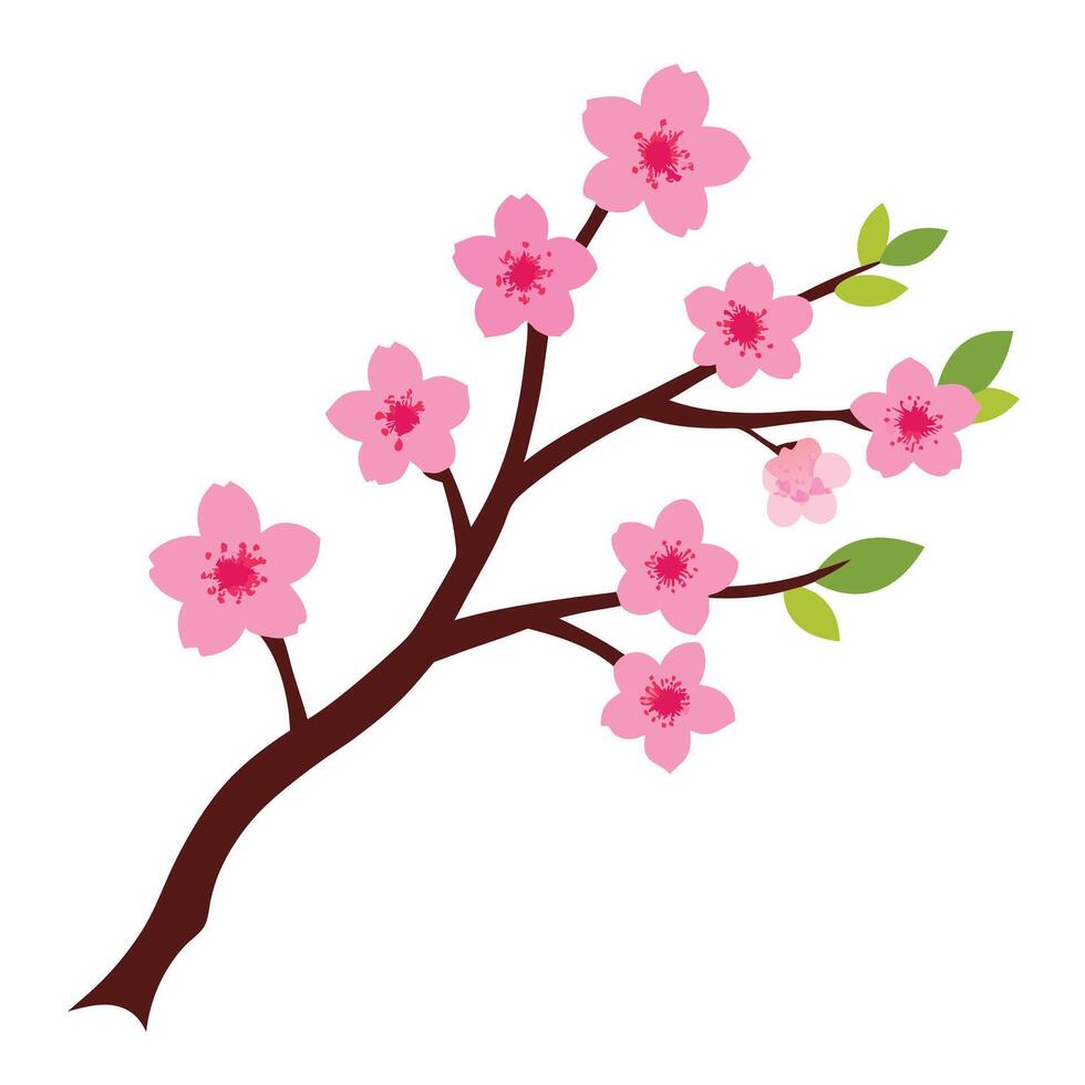 a branch with pink flowers on it vector
