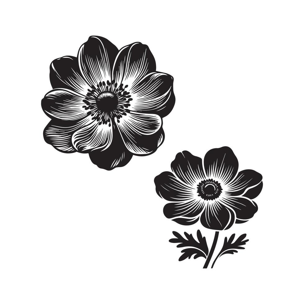 two anemone flowers design on a white background vector