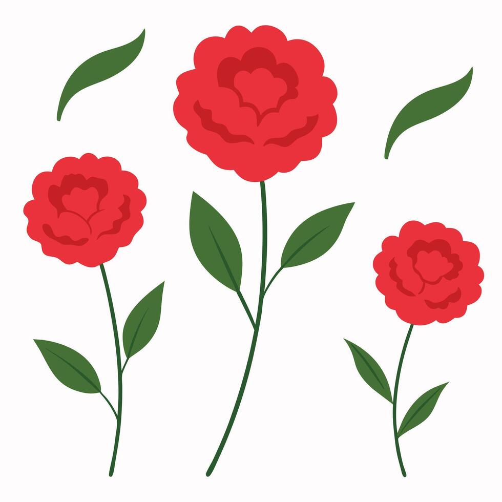 red flowers with leaves on a white background vector