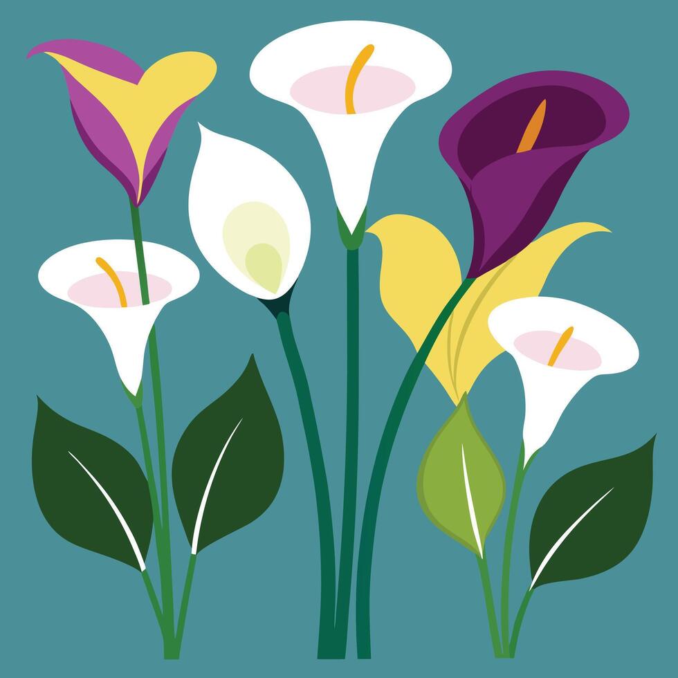 a group of calla lilies on a blue background vector