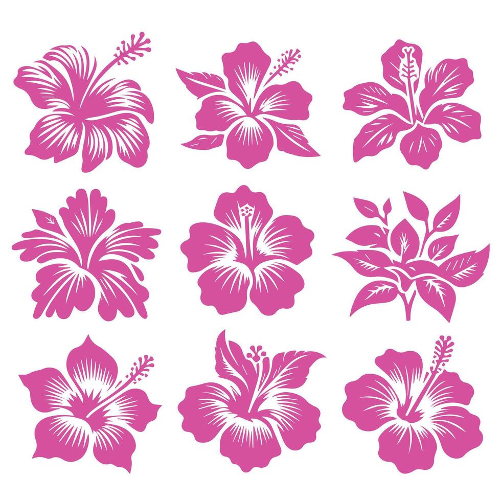 Hawaiian flowers set design on a white background vector