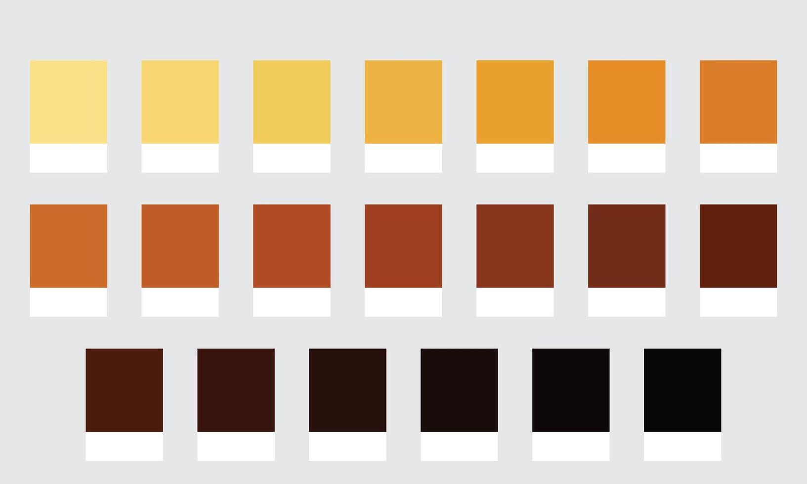 Color Palette 20 Shades of Mustard and Ochre - Dark Yellow, Earthy, Rustic Colors - with HEX Codes and Names, Colour Swatches and Combinations vector