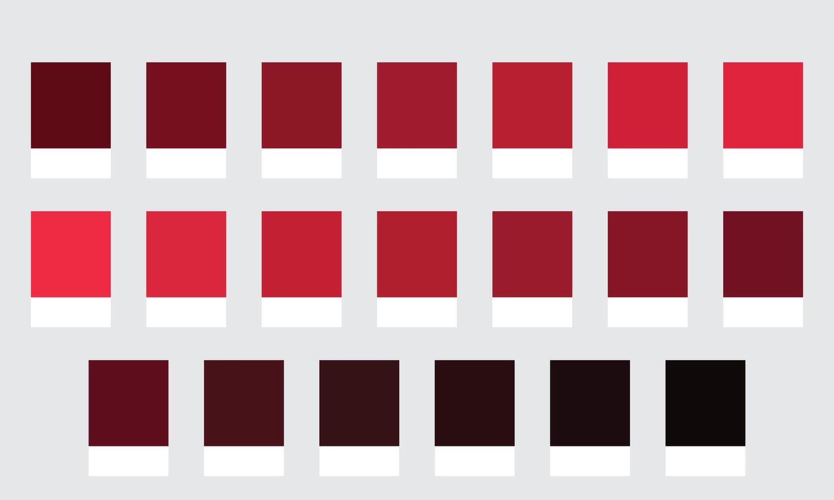 Color Palette 20 Shades of Maroon and Burgundy - Rich, Elegant, Wine Colors - with HEX Codes and Names, Colour Swatches and Combinations vector