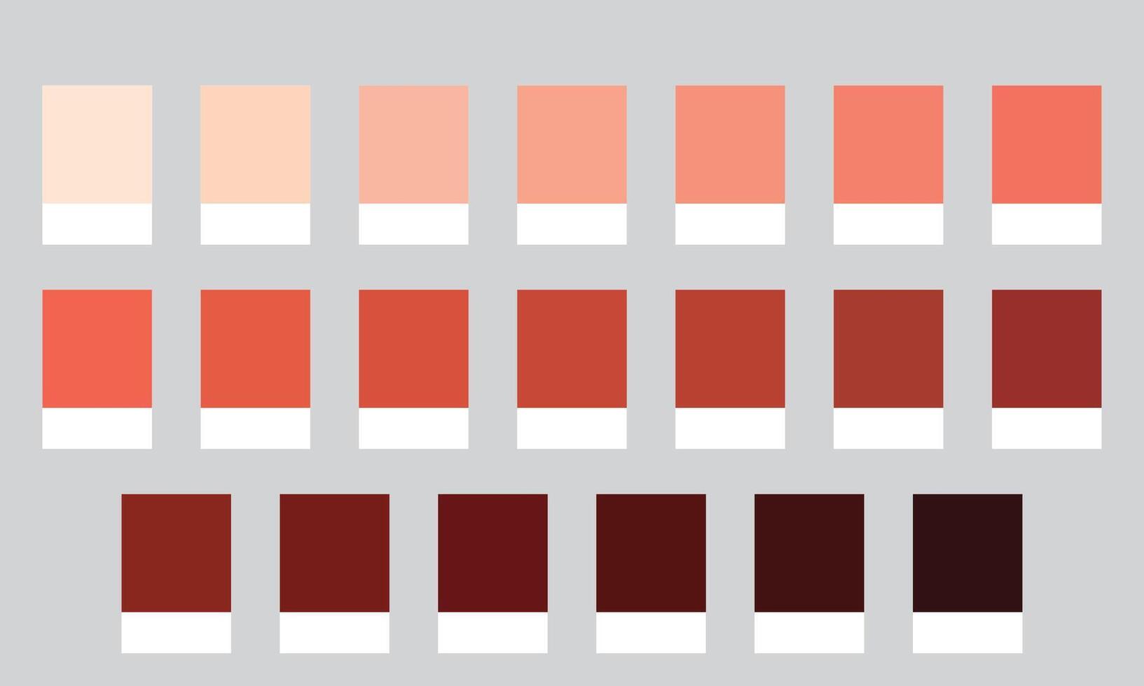 Color Palette 20 Shades of Peach and Coral - Warm, Delicate, Soft Colors - with HEX Codes and Names, Colour Swatches and Combinations vector