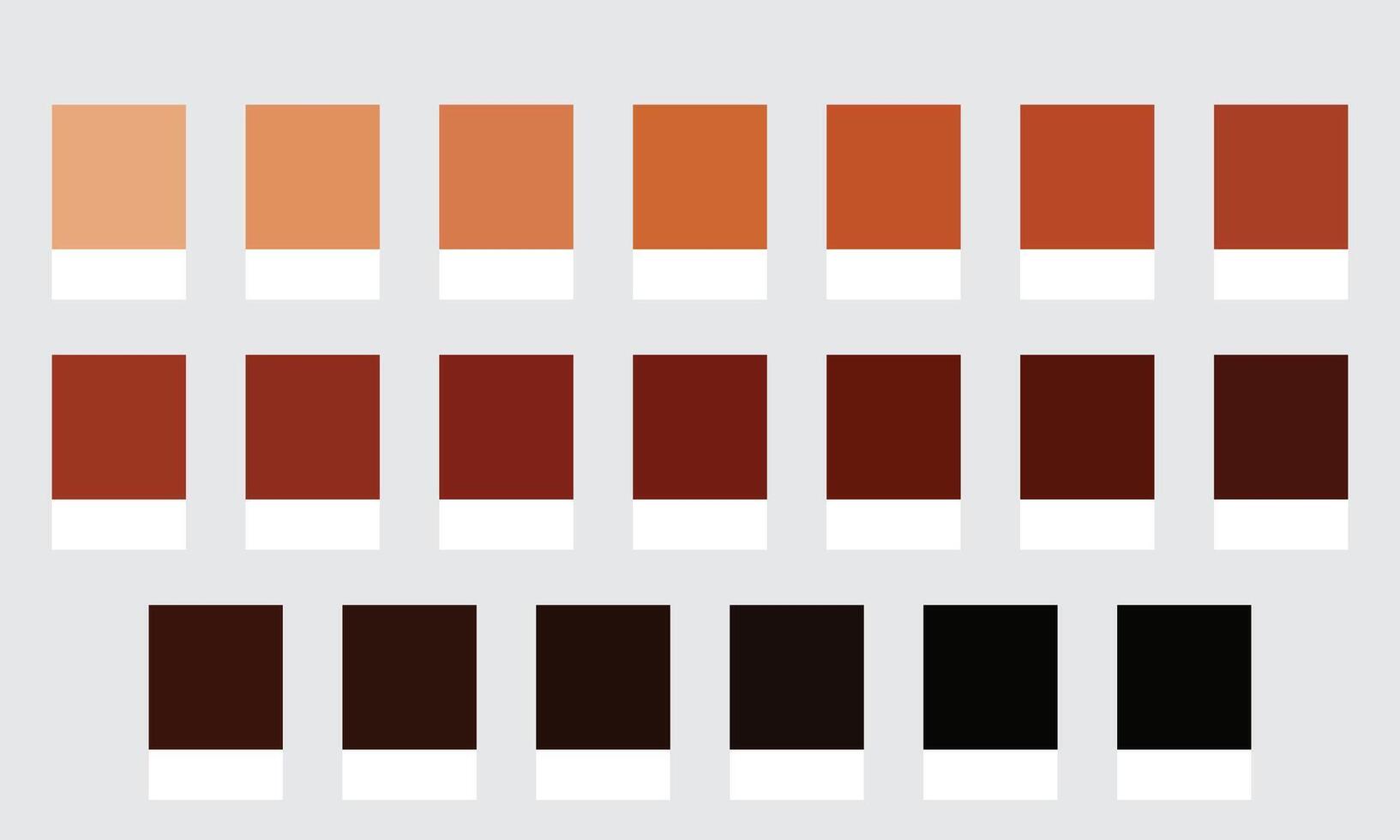 Color Palette 20 Shades of Copper and Rust - Burnt Brown, Warm, Aged Colors - with HEX Codes and Names, Colour Swatches and Combinations vector