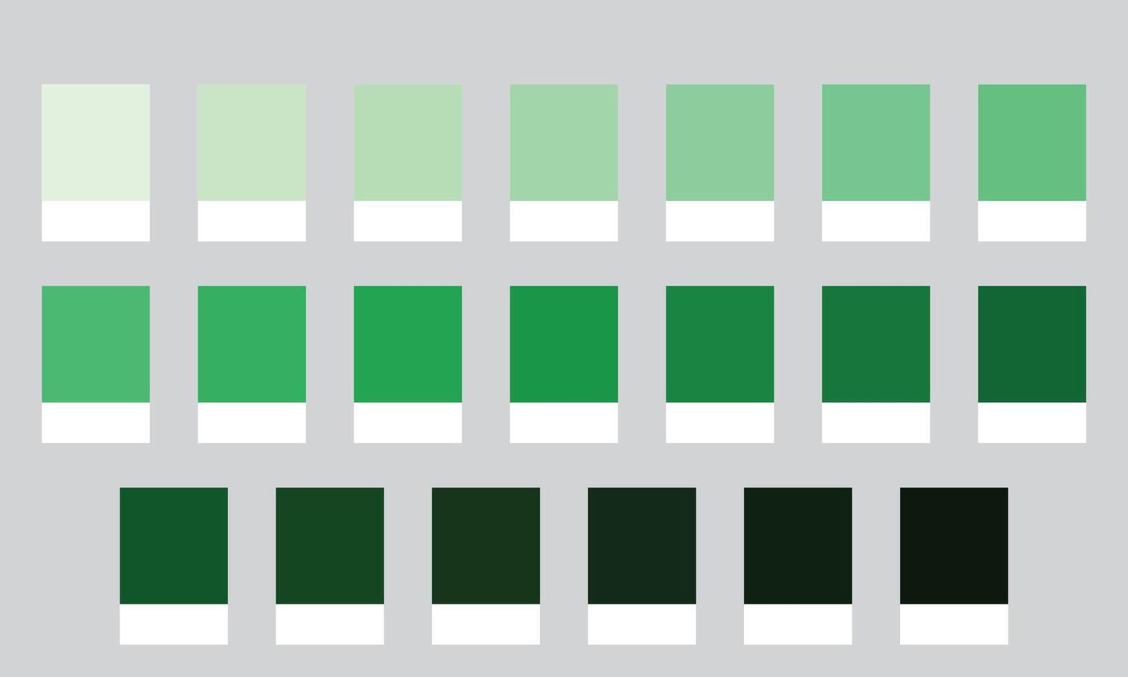 Color Palette 20 Shades of Mint and Pistachio - Green Fresh, Light, Refreshing Colors - with HEX Codes and Names, Colour Swatches and Combinations vector