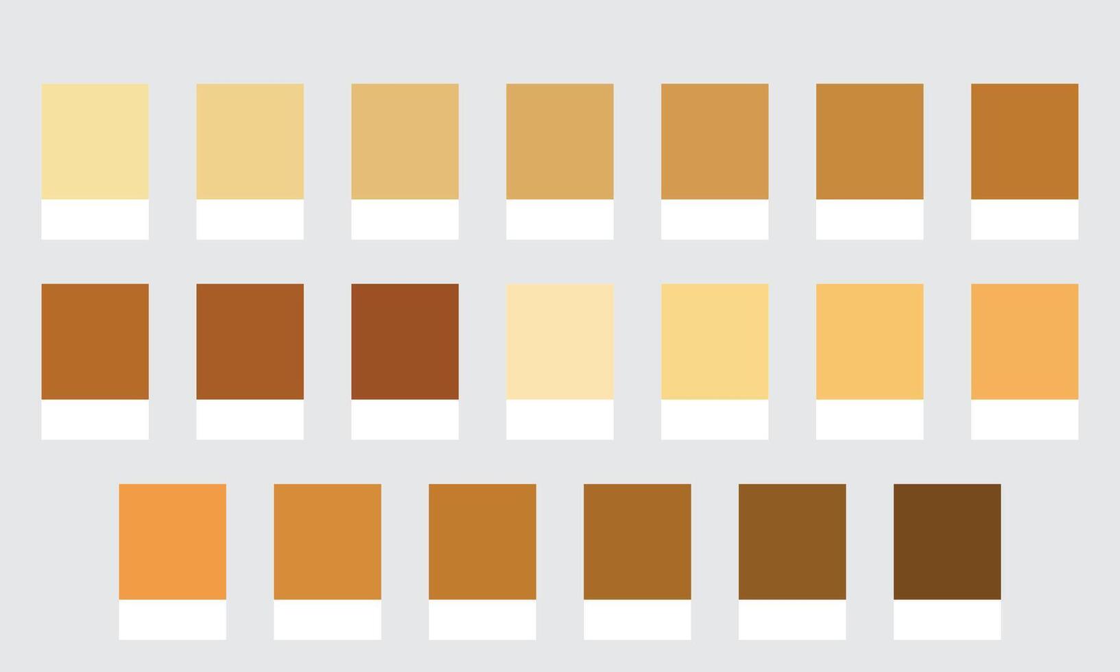 Color Palettes 20 Shades of Gold and Bronze - Soft, Warm, Deep and Aged Colors - with HEX Codes and Names, Colour Swatches and Combinations vector