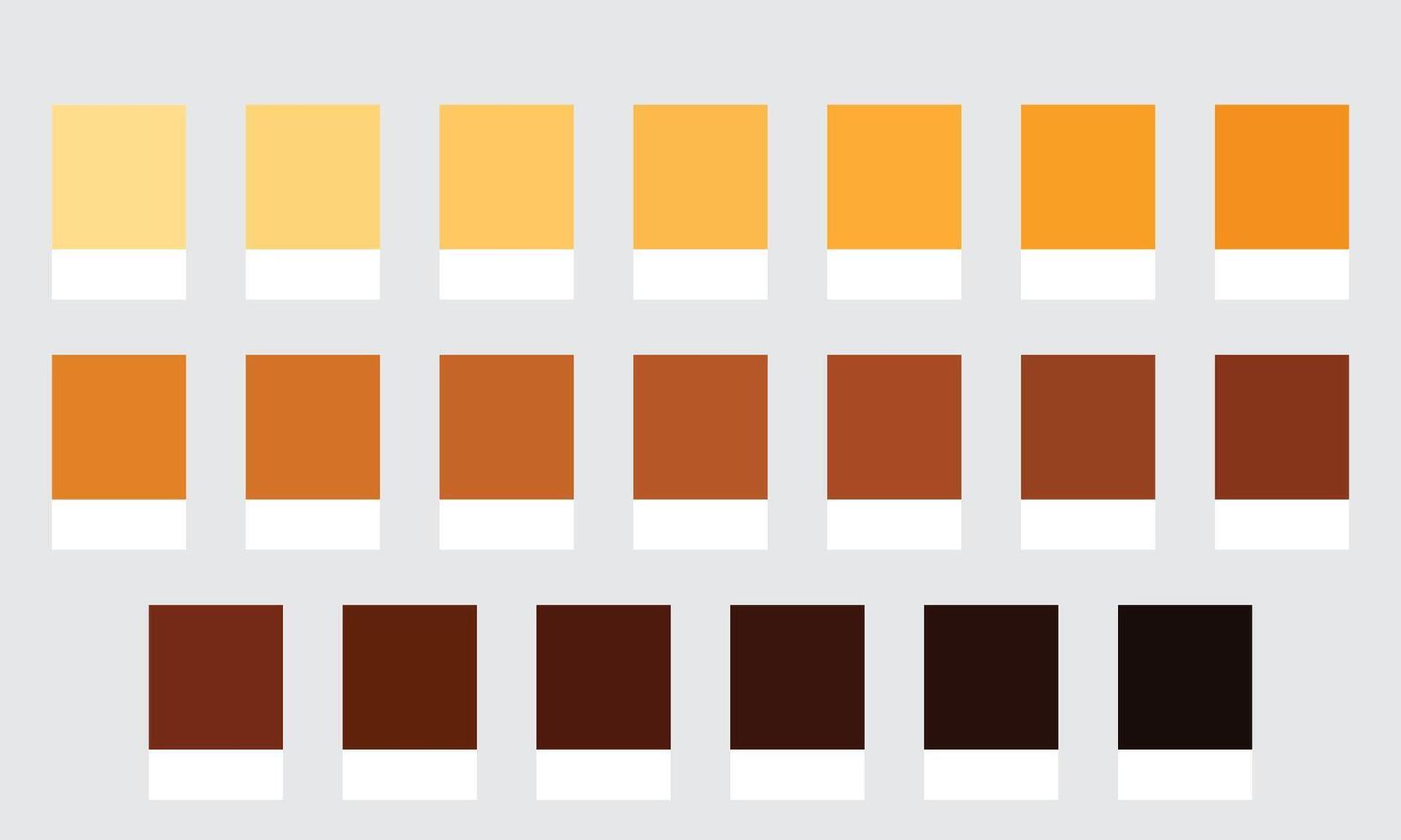 Color Palette 20 Shades of Amber and Honey - Dark Yellow, Warm, Golden, Caramel Colors - with HEX Codes and Names, Colour Swatches and Combinations vector