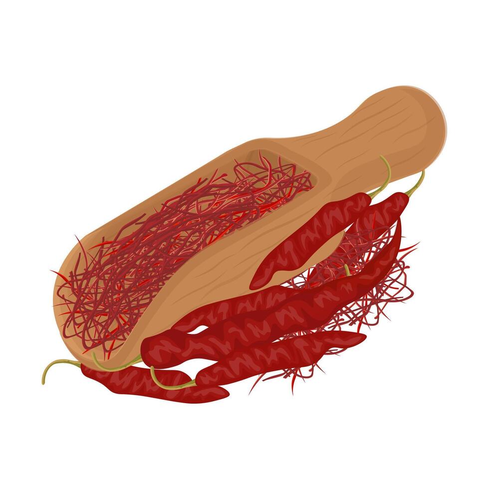Illustration Logo Clipart Spicy Dried Chili Threads or Chili Pepper Threads silgochu on a Wooden Scoop vector