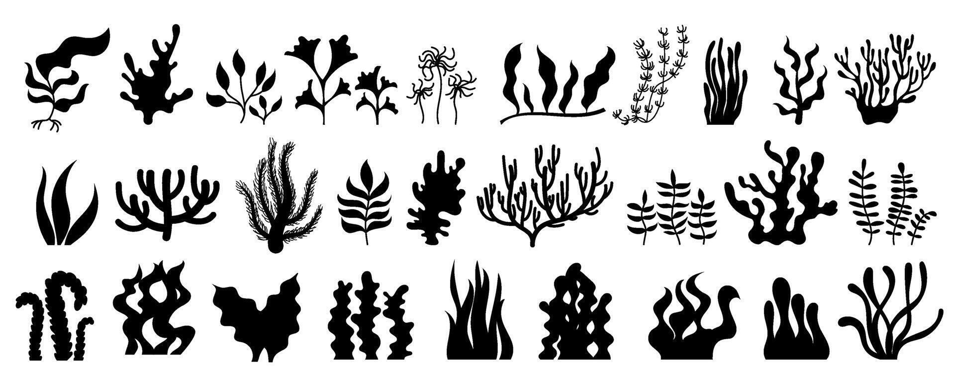 Collection of black silhouettes depicting various types of seaweed and coral. Ideal for illustrating underwater marine environments, ocean reef settings, and sea life. vector