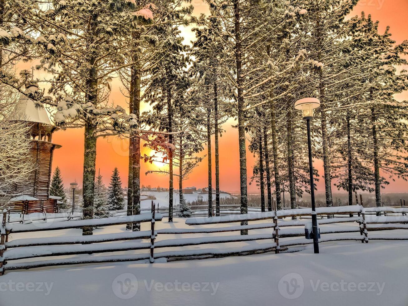 A snowy scene with a wooden fence and trees photo