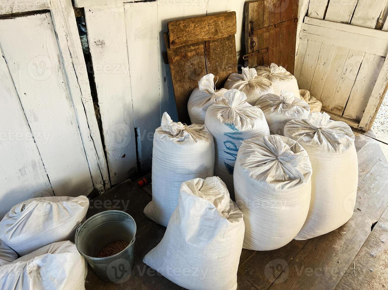 White sacks of stored grain inside a rustic wooden barn with natural light photo