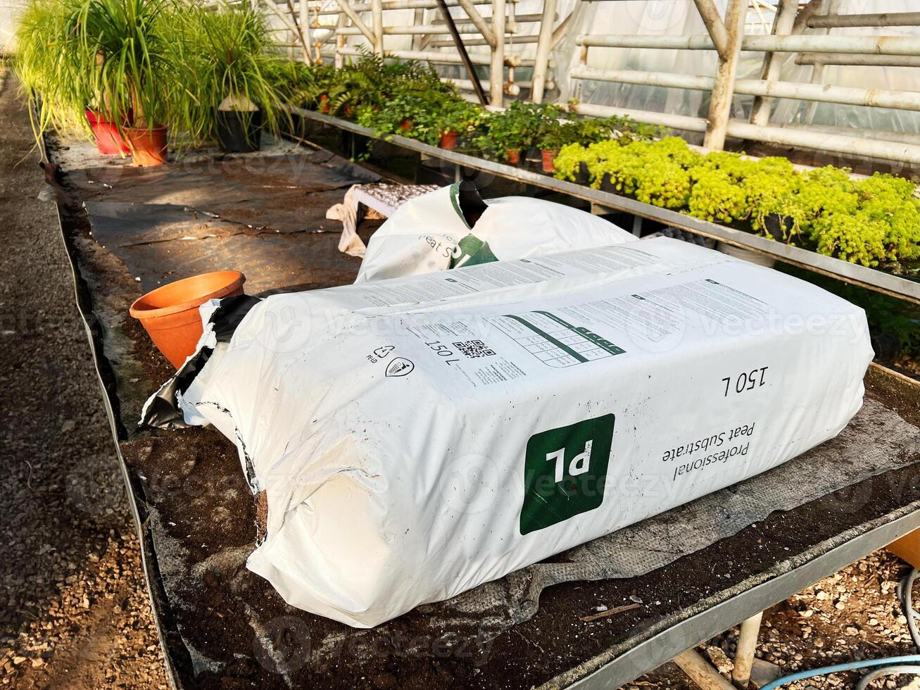 Greenhouse table with soil bags and potted plants in scenic lighting photo