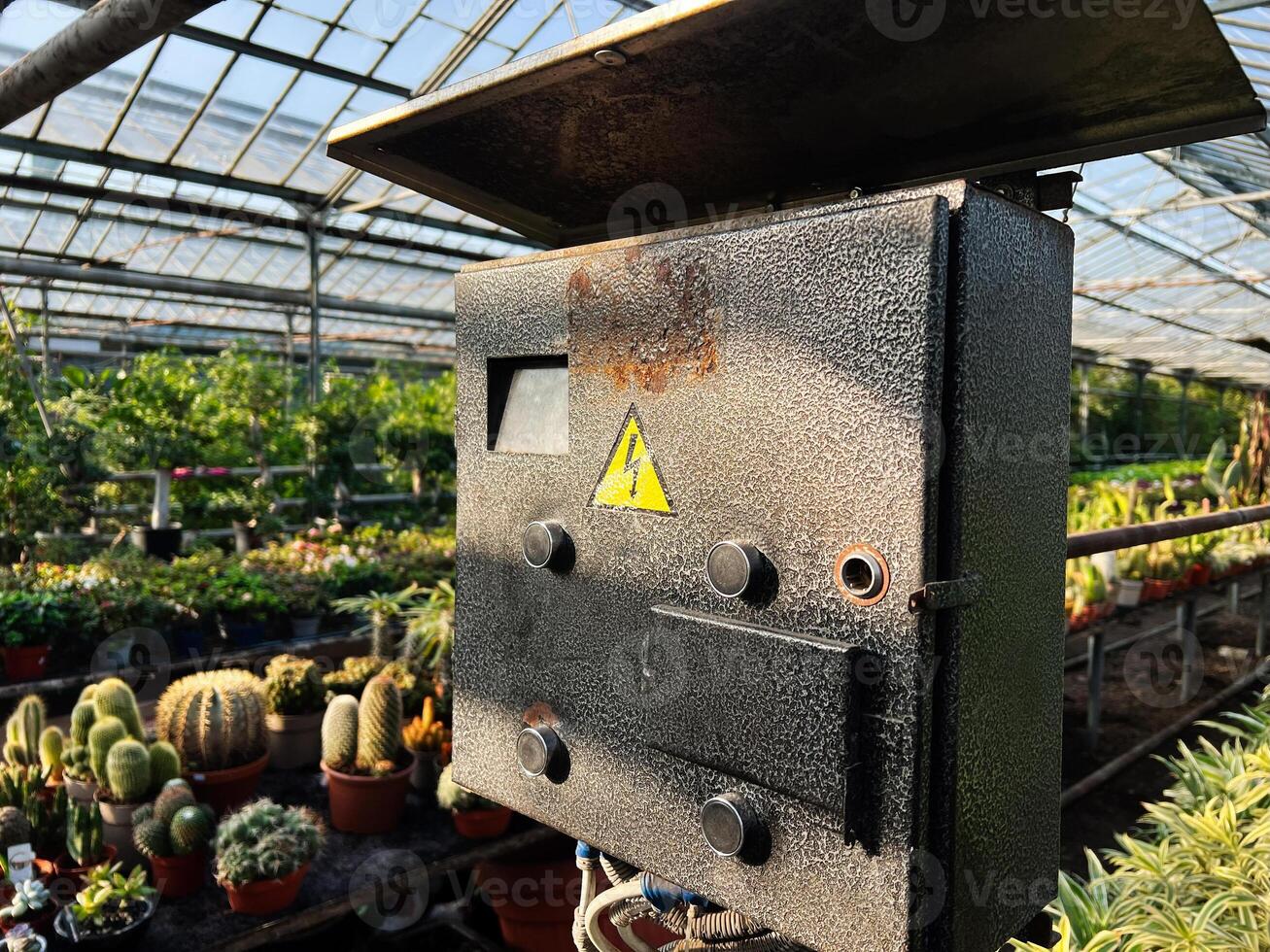 Electrical control box in a greenhouse surrounded by diverse plants and cacti photo