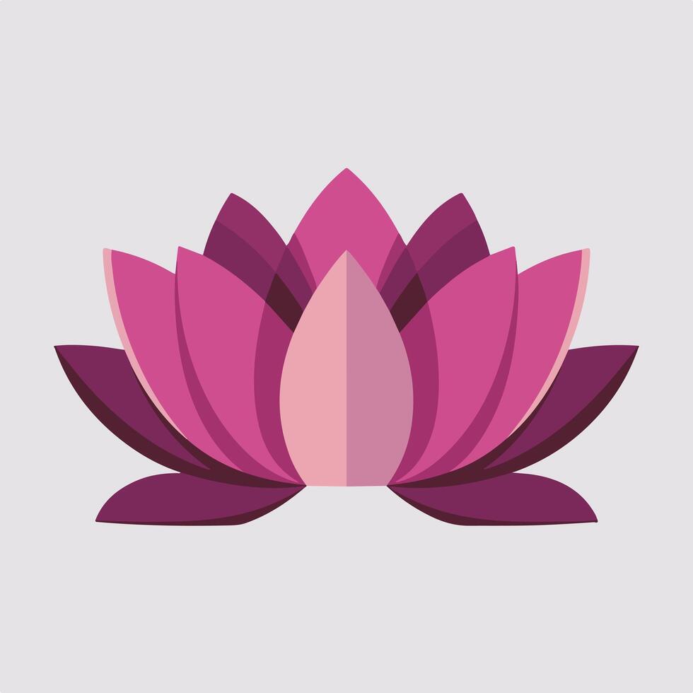 A pink lotus flower on a white background vector