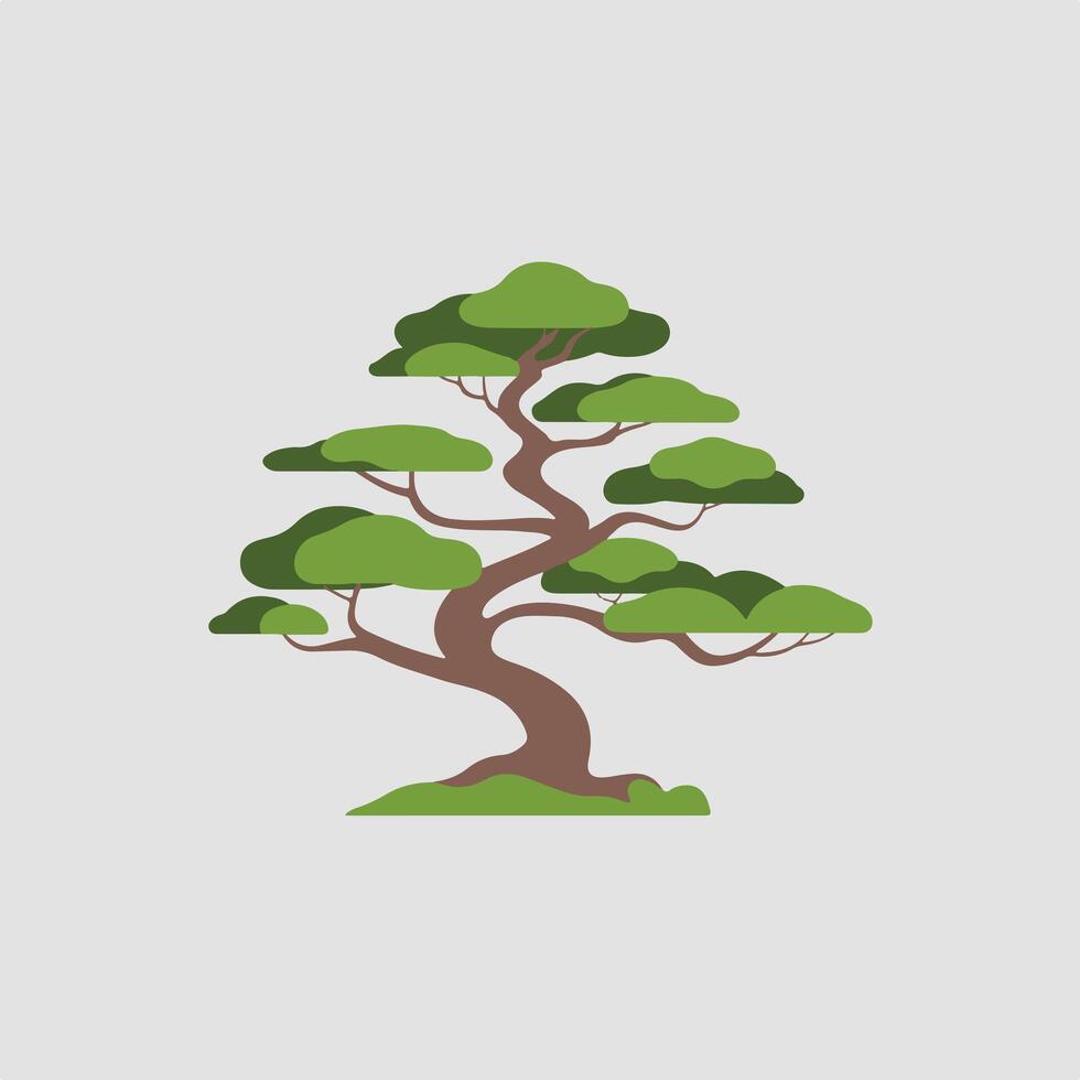 A bonsai tree on a white background vector