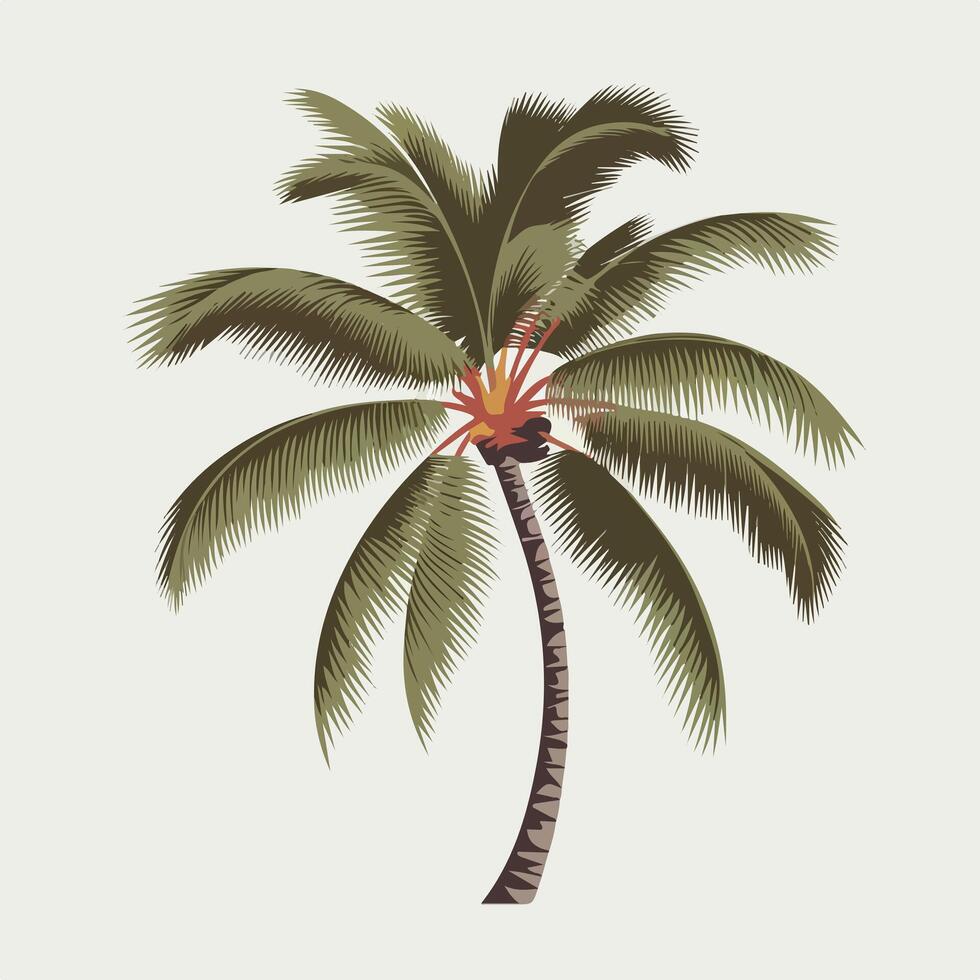 illustration of a palm tree on a white background vector