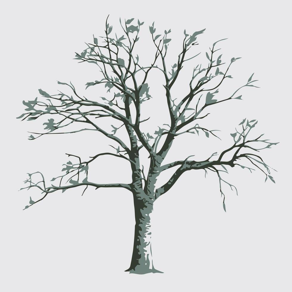 Elegant Flat Leafless Tree on a Blank White Space vector