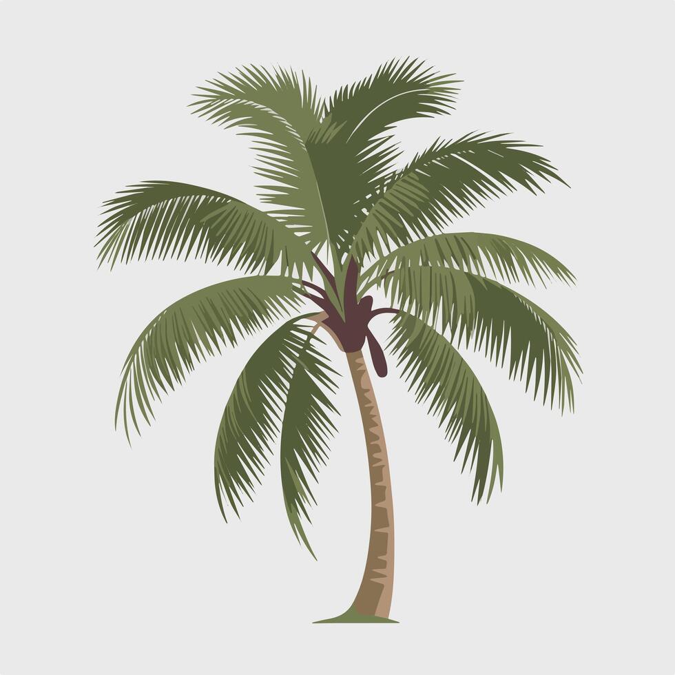 A palm tree on a white background vector
