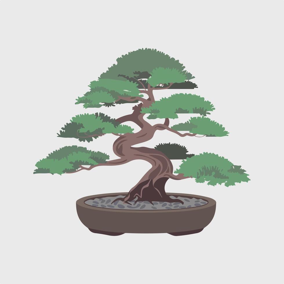 Bonsai tree in pot on white background illustration vector
