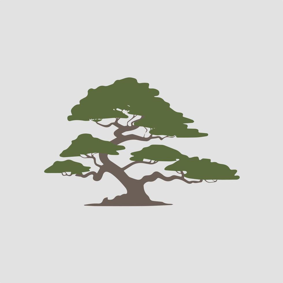 A bonsai tree on a gray background vector